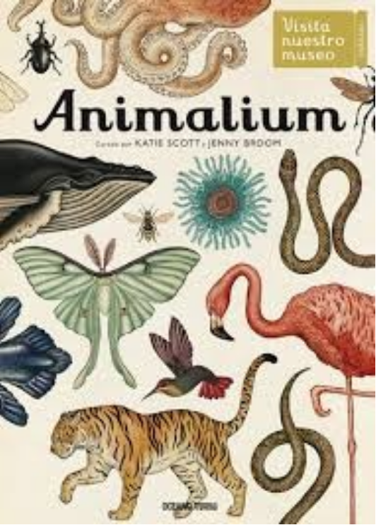 “Animalium”