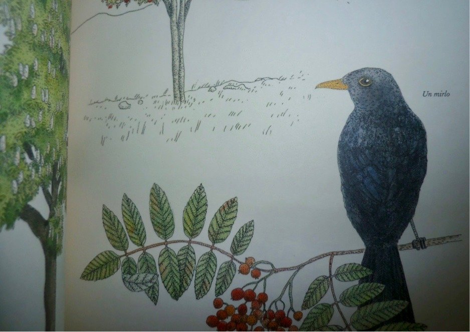 =