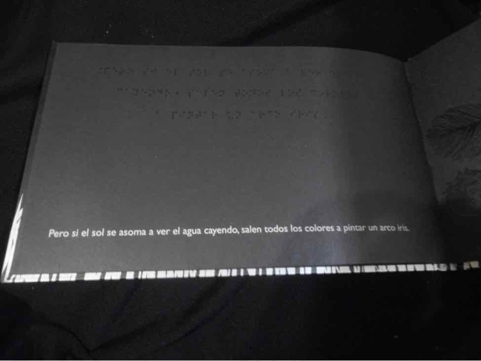 el libro negro de los colores2
