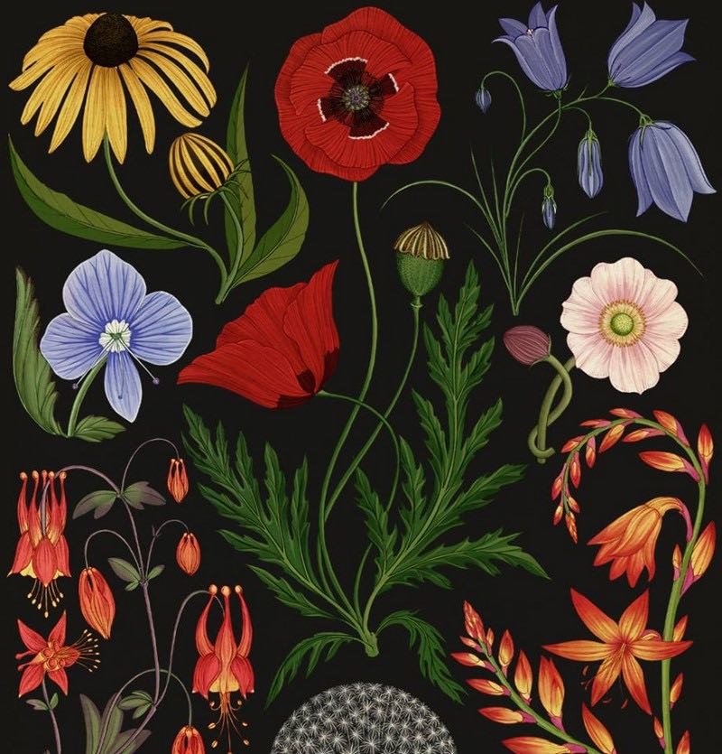 Botanicum